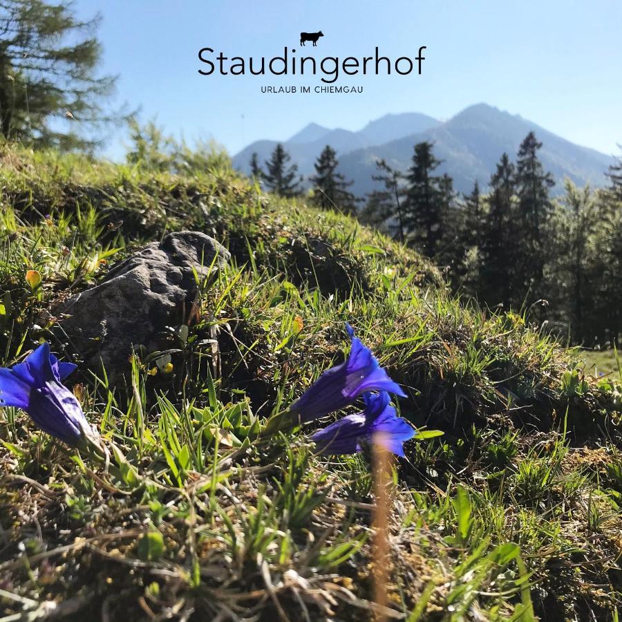 Staudingerhof